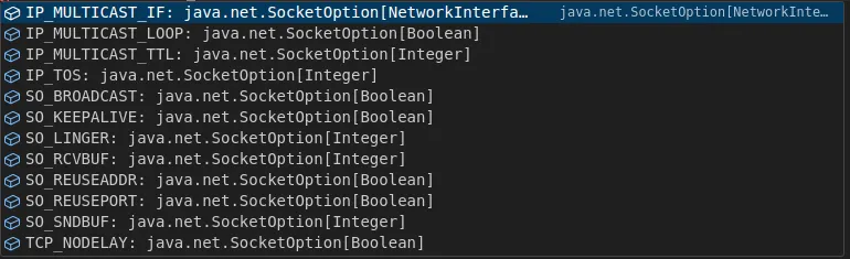 List of standard socket options